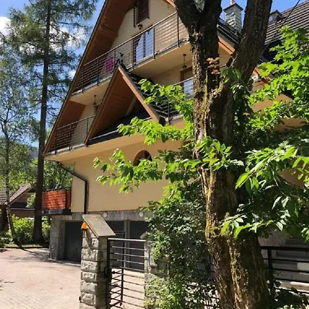 Visitzakopane - Mountain Dream Apartment-2